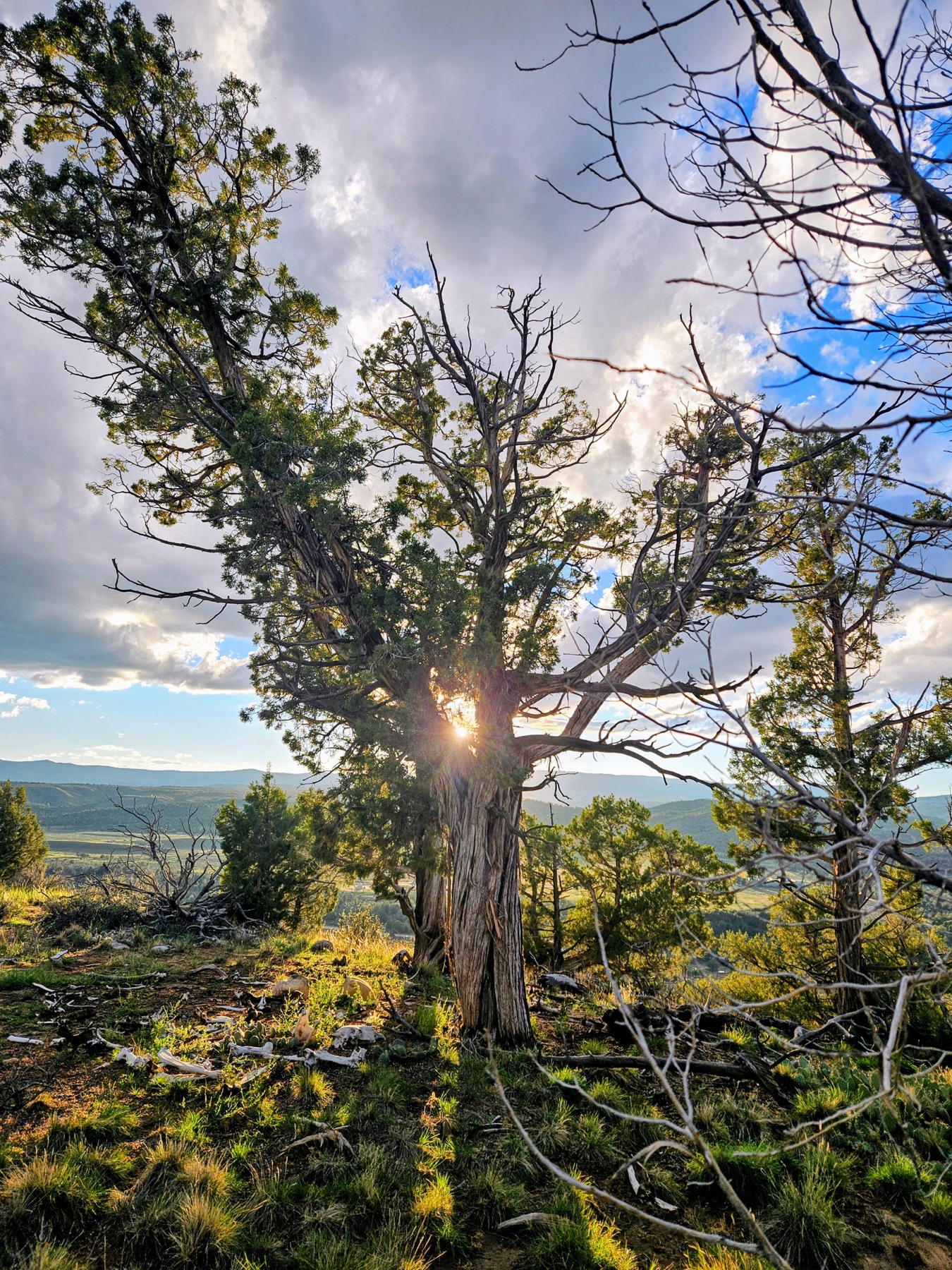 A sanctuary for people and the land.