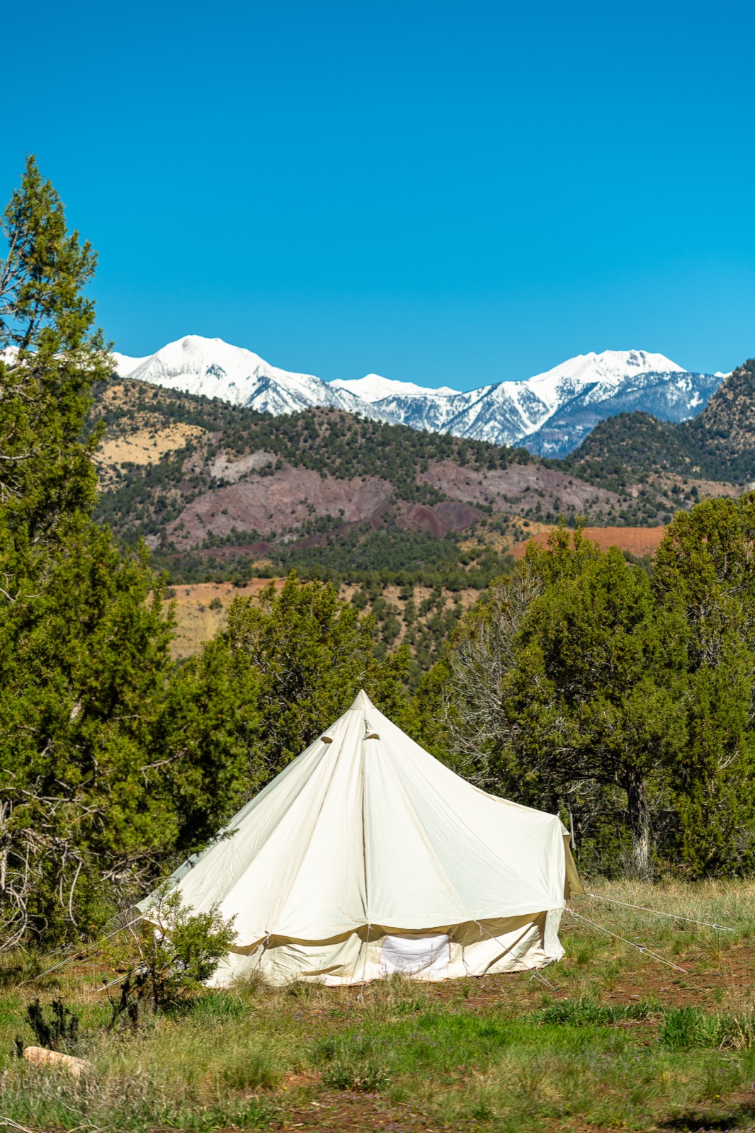 Bell Tent